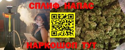 гидра Старая Купавна