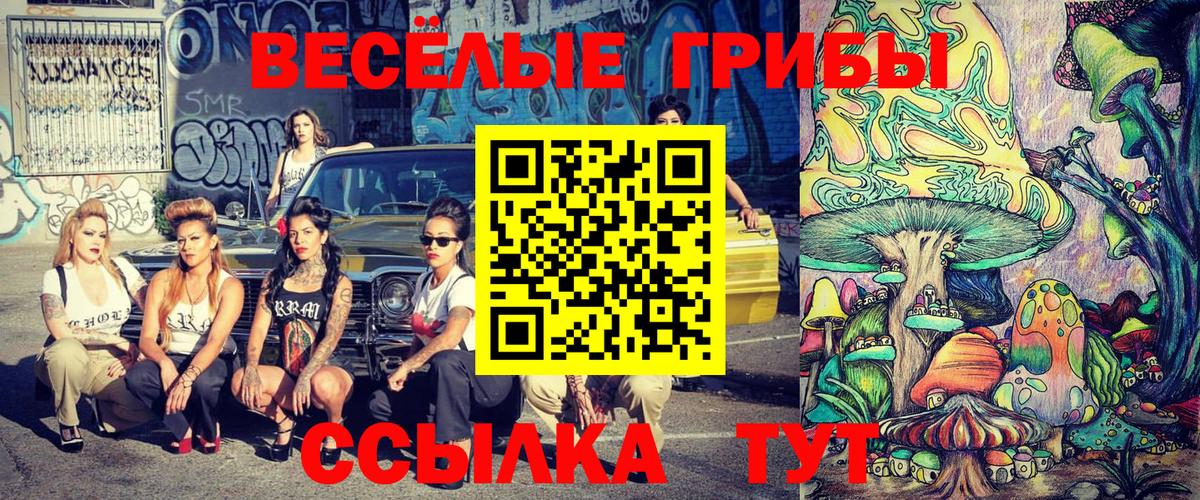 Галлюциногенные грибы ЛСД  Галлюциногенные грибы мухоморы  Мичуринск  Вход с VPN 