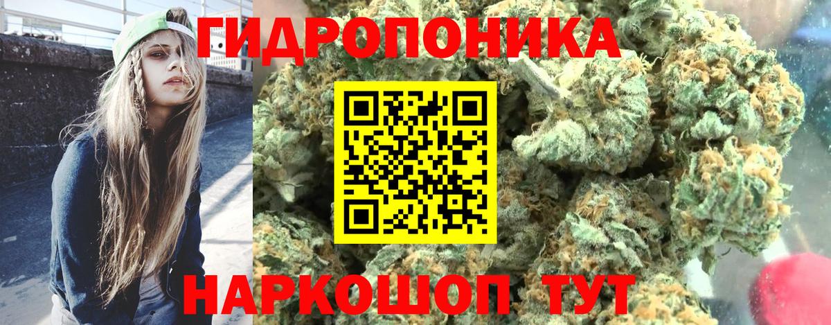 Каннабис Bruce Banner Мичуринск
